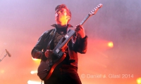 nip2011 glasl arcticmonkey2